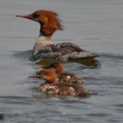 Foto von Lee Lee