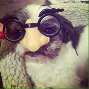 Laura Tarsi's photo