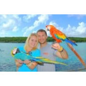 Michael Williams's photo