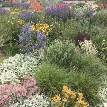 Experimental Meadow Garden, northern Colorado