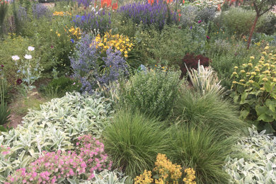 Experimental Meadow Garden, northern Colorado