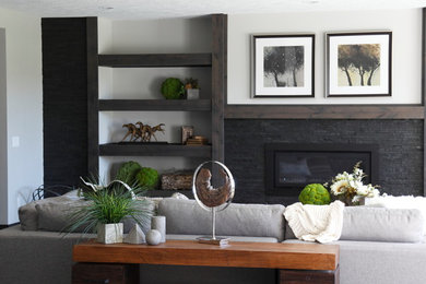 Example of a large transitional carpeted living room design in Other with gray walls, a stone fireplace and a ribbon fireplace