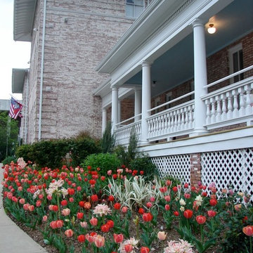 Project Spring Surprise