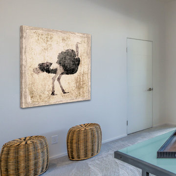 The Ostrich