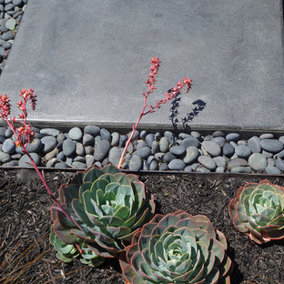 This is an example of a mid-sized contemporary front yard full sun xeriscape for winter in San Francisco with a garden path and concrete pavers.