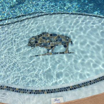 Custom Gunite Swimming Pools