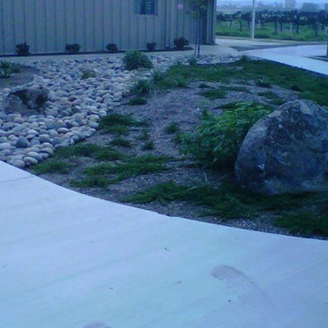 Landscape Design