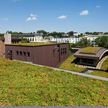 Kane Commons-an Urban Community