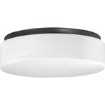Progress Lighting - LED Flush Mount - LED flush mount with white acrylic diffuser mounts to baked enamel ceiling pan. Twist on installation with a single locking thumb screw. UL approved for damp locations. Ceiling or wall mount. 1680 lumens, 80 lumens/watt, 3000K and 90CRI. ENERGY STAR and Title 24. Uses (1) 21-watt LED bulb (included).