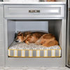Room of the Day: Laundry Room Goes to the Dogs