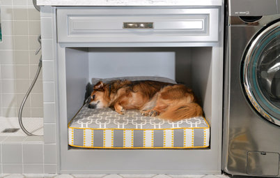 Room of the Day: Laundry Room Goes to the Dogs