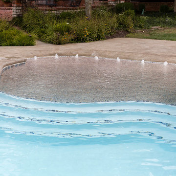 freeform beach entry with lap lane gunite pool