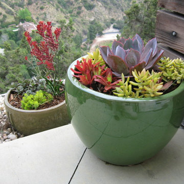 Narrow View Garden