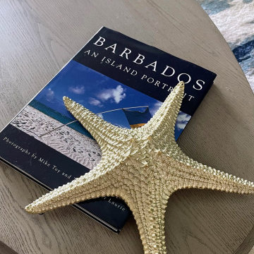Barbados Vacation Rental