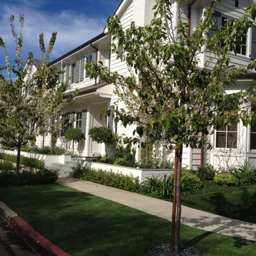 Landscape Projects
