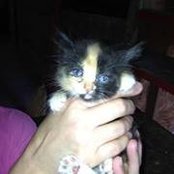 Foto von Cyndee Miner