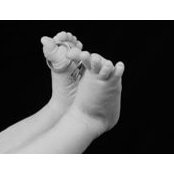 Kim Kickhaefer's photo