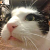 Annette Hammill's photo