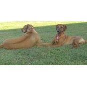 Cathy Binkley's photo