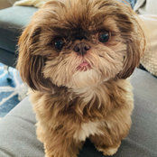 Samantha Bieber Katcher's photo