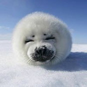 Scott Chao's photo