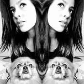 Jose Bustillos's photo