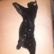 Tamara Holden's photo