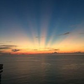 Nancy Palino's photo