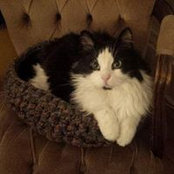 Roberta McRae's photo
