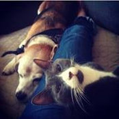 Colleen Chrzanowski's photo
