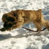 Karin Kiel's photo