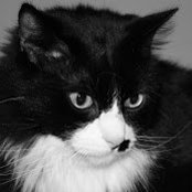 Andrea Parker's photo
