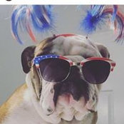 Peggy Bocklage's photo