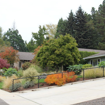 Marcia's front garden