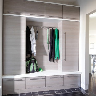 Свежая идея для дизайна: тамбур среднего размера в стиле модернизм - отличное фото интерьера