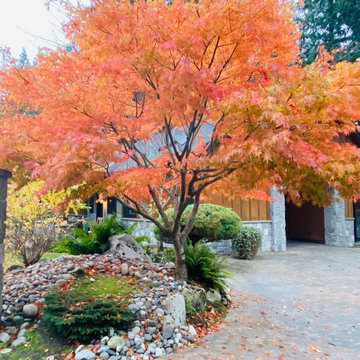 FALL is for COLOR