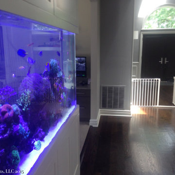 Custom Saltwater Aquarium, Westchester NY