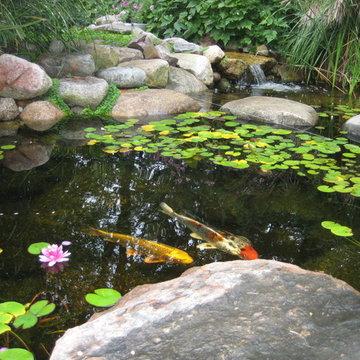 Water Gardens