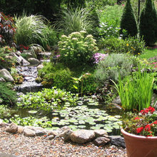 Side Yard
