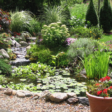 Masicki Backyard Pond - Westport
