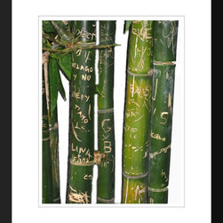 Fine Art Prints-Photographic-Bamboo 1 - Fine Art Prints