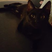 Sonja Andersen's photo
