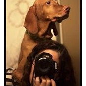 Heidi Corley Barto's photo