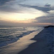 Foto von Shannon N Patton