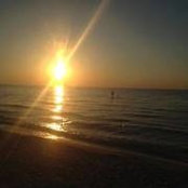Lynn Weiler's photo