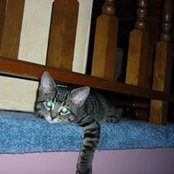 Becky Stinson's photo