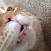 Heidi Grolemund's photo