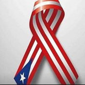 Foto von Wanda Diaz Malave