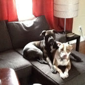 KATIA Toussaint's photo
