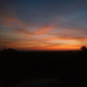 Teja Nedunuri's photo